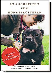 Kostenloses eBook "In 5 Schritten zum Hundeflüsterer"